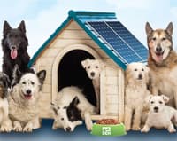 Caseta solar perros