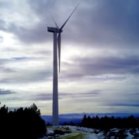 Beiersdorf 100% energía renovable 